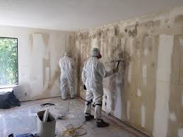 Best Real Estate Mold Inspection  in Lwa, CA